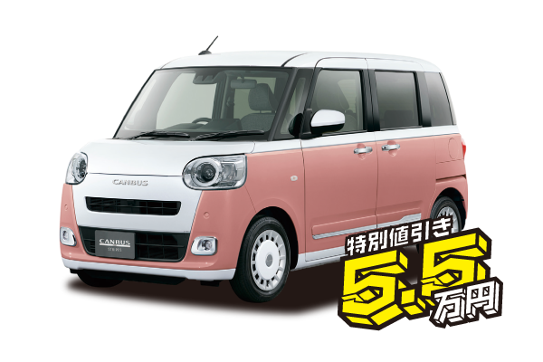 ムーヴキャンバスストライプスG